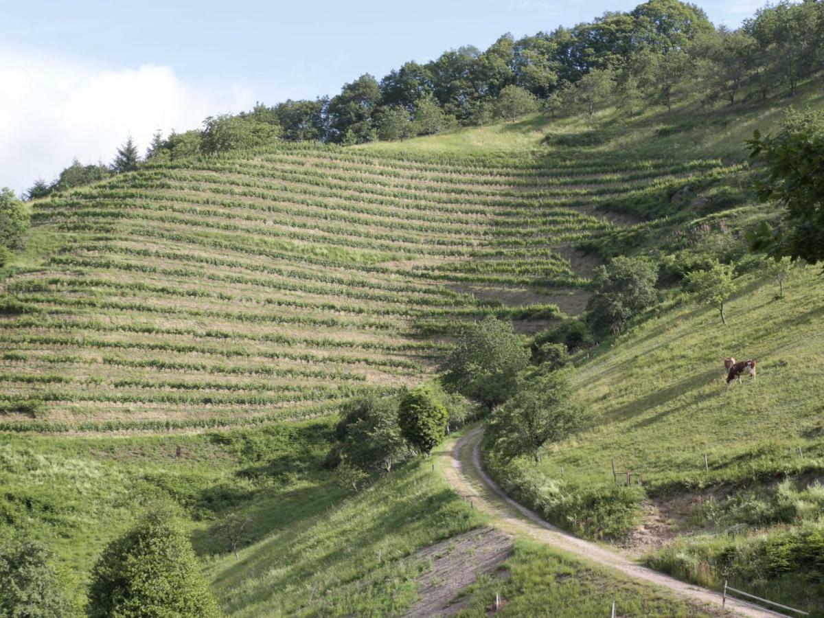 Ferienwohnungen Giedensbach Oberkirch  Exterior photo